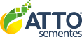 Grupo Atto